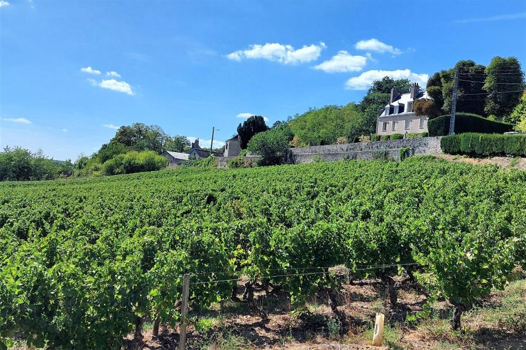 Le Balzac / Colbert - Bord De Loire Daire Tours Dış mekan fotoğraf